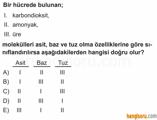 Soru 6