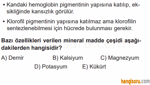 Soru 9