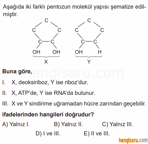 Soru 3