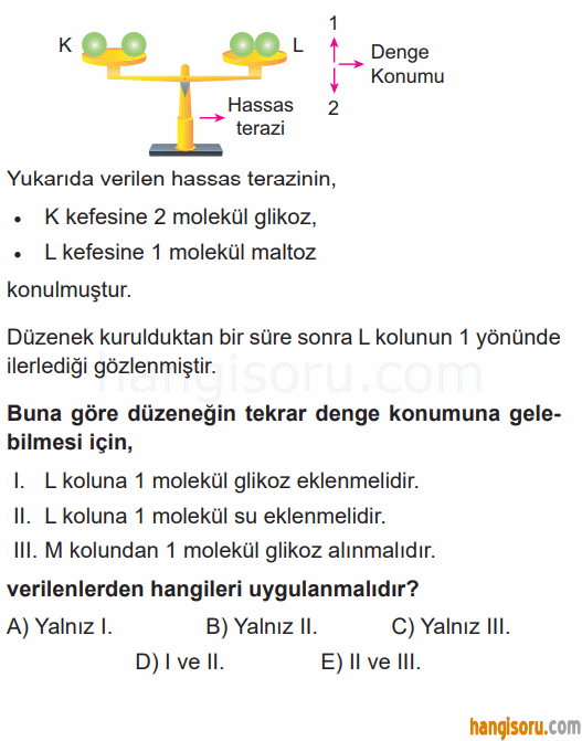 Soru 5