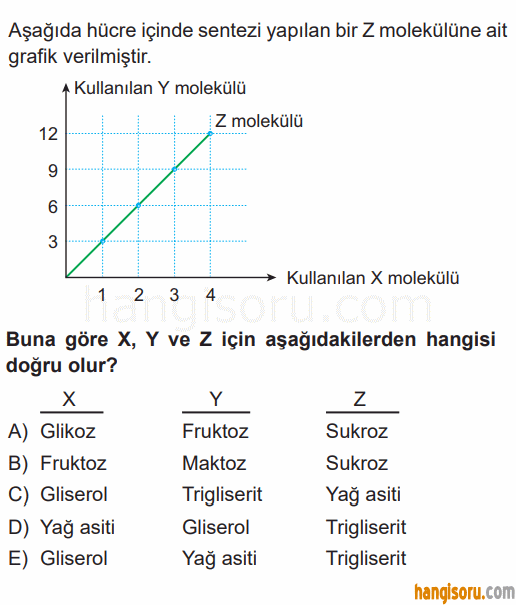 Soru 8