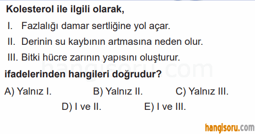 Soru 10