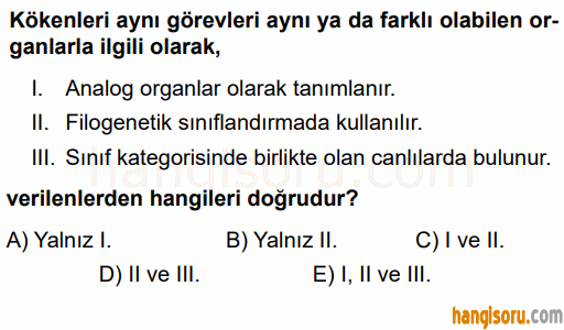 Soru 1