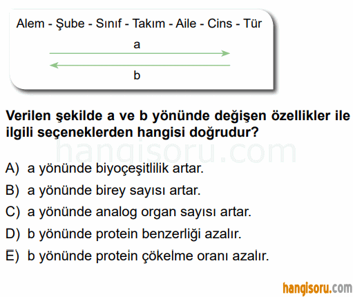 Soru 2