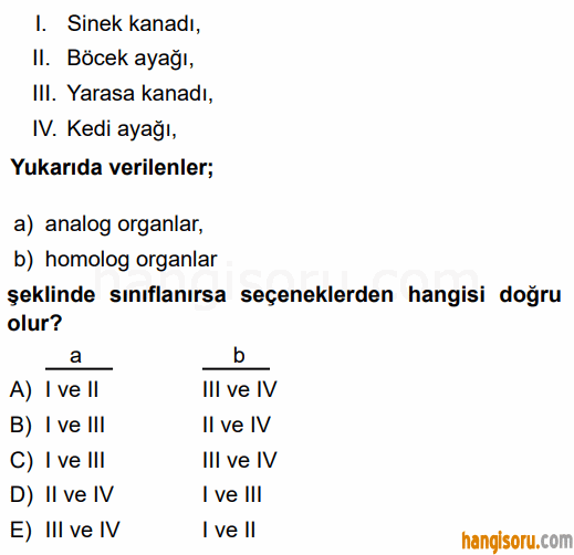 Soru 3