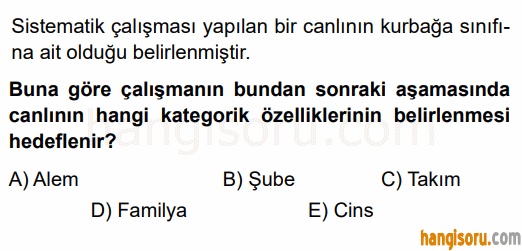 Soru 8