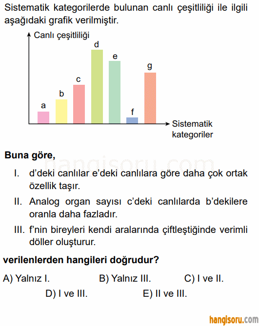 Soru 10