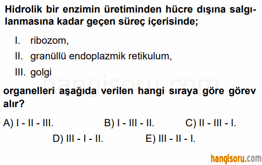 Soru 1