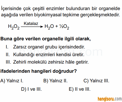 Soru 2