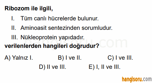 Soru 2