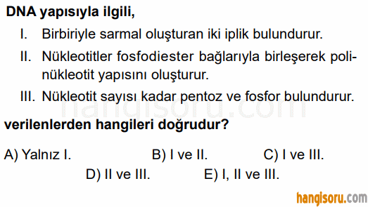Soru 1