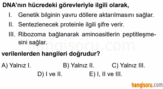Soru 4