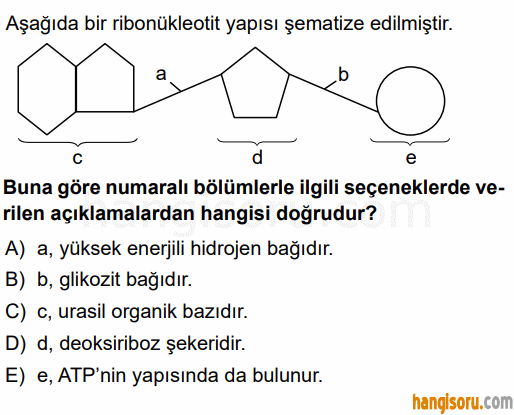 Soru 8