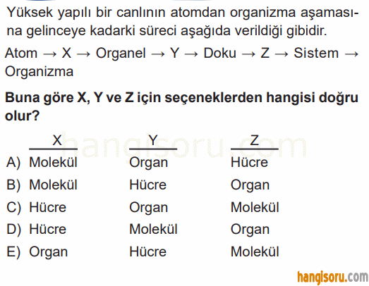 Soru 6