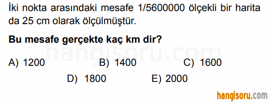 Soru 7