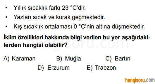 Soru 11