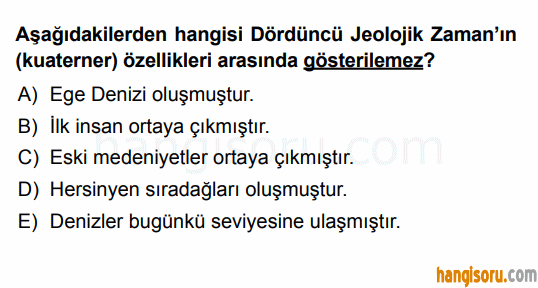 Soru 5