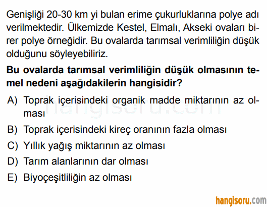 Soru 10