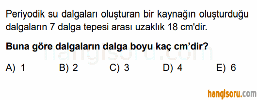 Soru 5