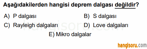 Soru 10