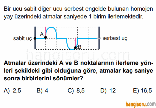 Soru 8