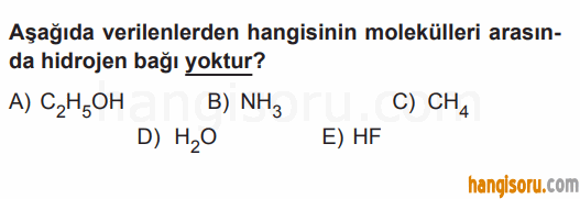 Soru 10