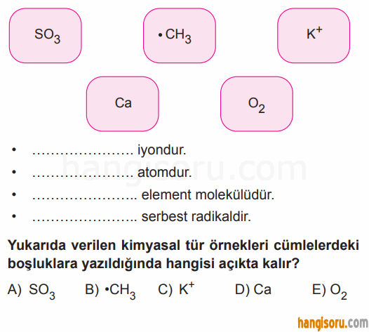 Soru 7