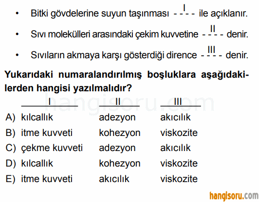 Soru 4