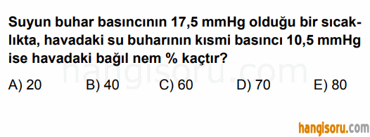 Soru 8