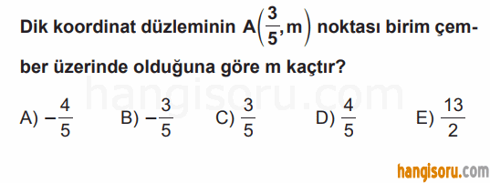 Soru 8