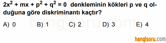 Soru 10