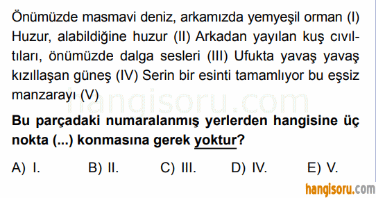 Soru 4