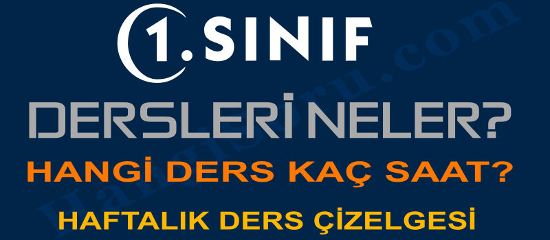 1. sınıf dersleri