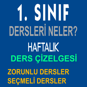 1 sinifta hangi dersler var