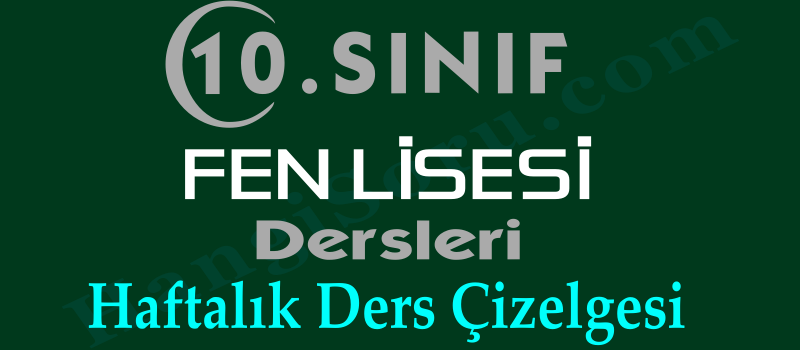 10. sınıf fen lisesi dersleri