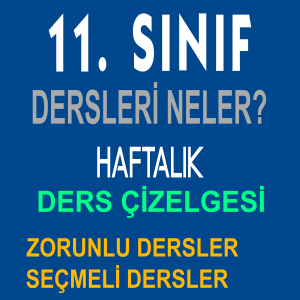 11. sınıf dersleri neler