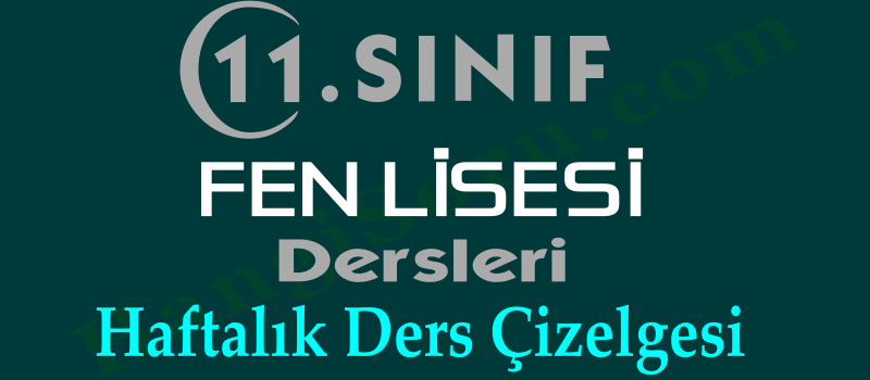 11. sınıf fen lisesi dersleri