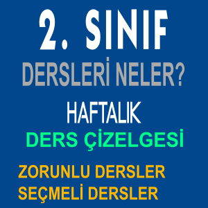 2. sınıfta hangi dersler var