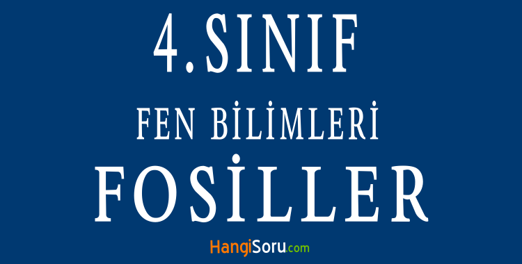 4 sinif fen bilimleri fosiller konu anlatimi