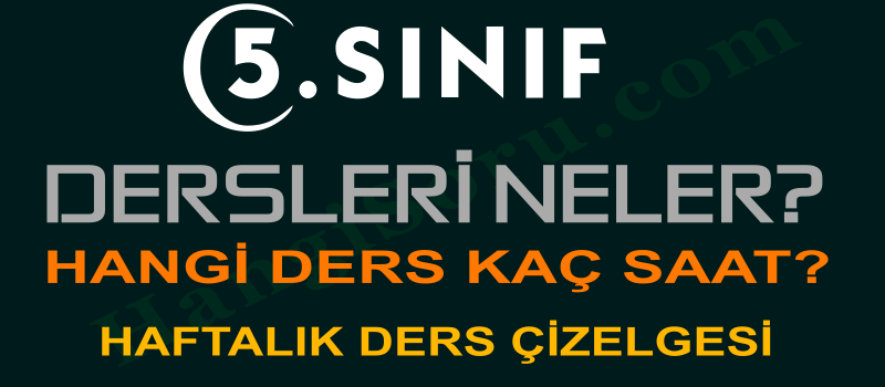 5. sınıf dersleri