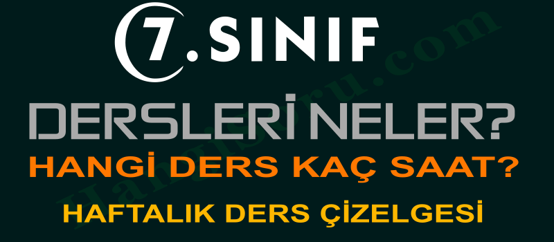 7. sınıf dersleri