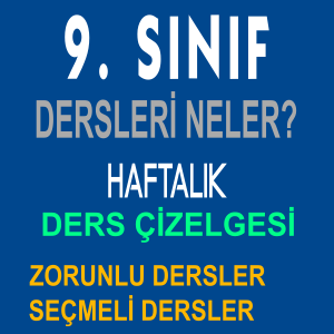 9 sinif dersleri neler