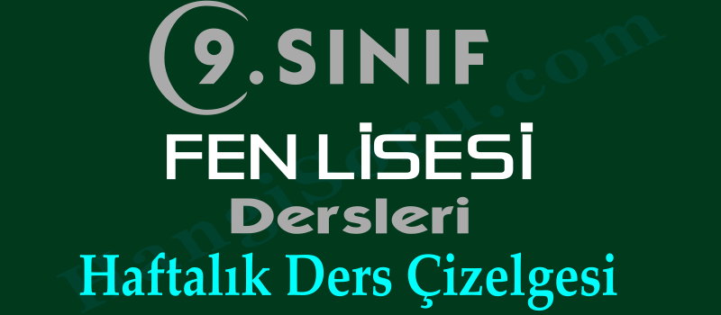 9. sınıf fen lisesi dersleri