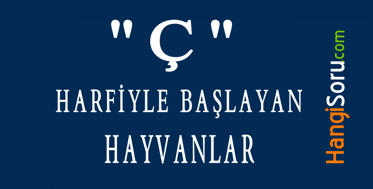 Ç Harfiyle başlayan hayvanlar