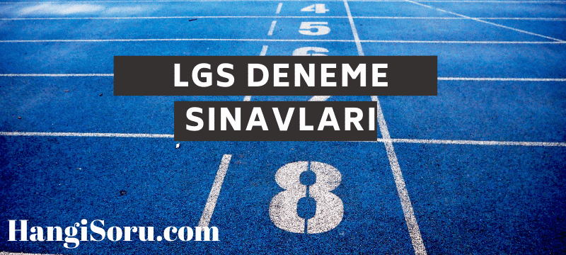 LGS deneme pdf indir