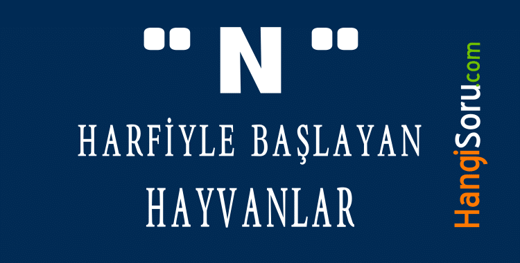 N ile baslayan hayvanlar