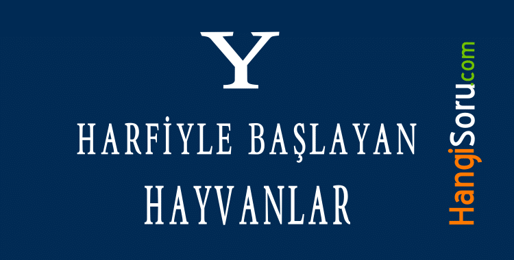 Y harfiyle baslayan hayvan