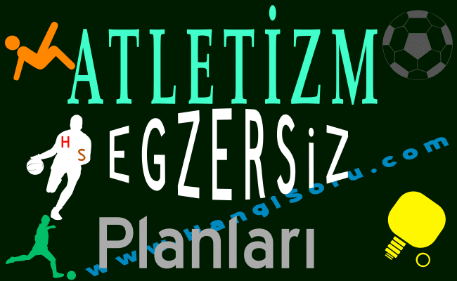 Atletizm Egzersiz Planı İndir