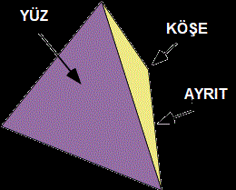 ayrit yuz kose nedir