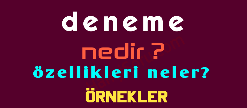 deneme nedir deneme ornekleri ve ozellikleri